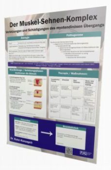 Indikationsplakate. Reha neu interpretiert – perfekt für Ihre Wand! 